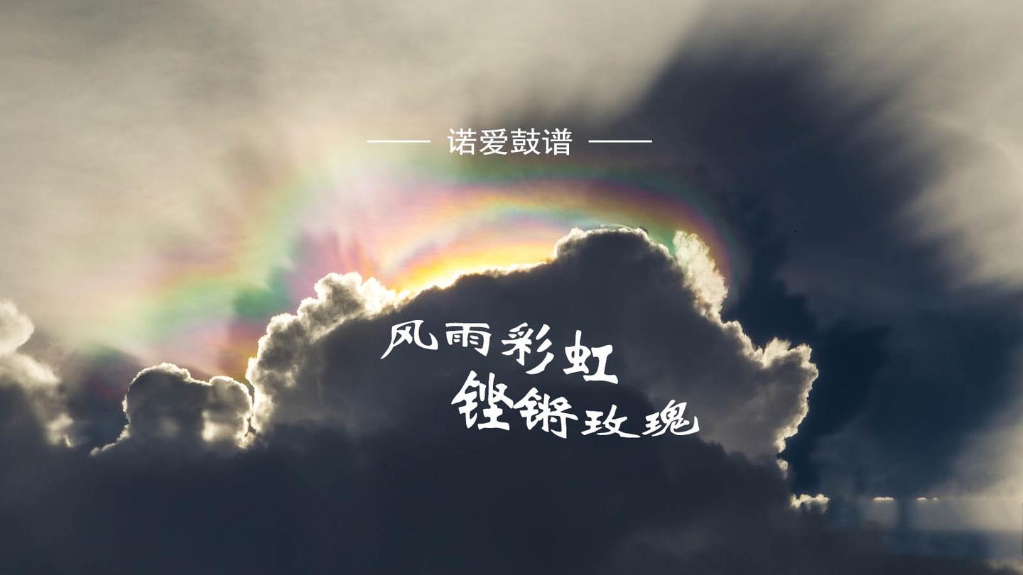 架子鼓谱 田震《风雨彩虹铿锵玫瑰》霸气豪迈,震撼全场!