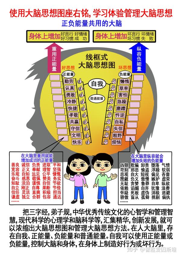 正负能量共用的大脑