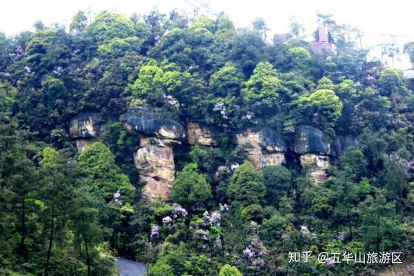 五华山旅游区简介!