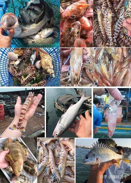 上海哪里的海鲜市场最便宜品种最多?