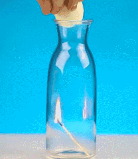 484_560gif 动态图 动图