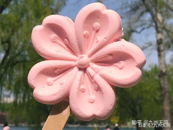自从2016年北京玉渊潭公园推出了"樱花雪糕",一时间荷花,牡丹花等格式
