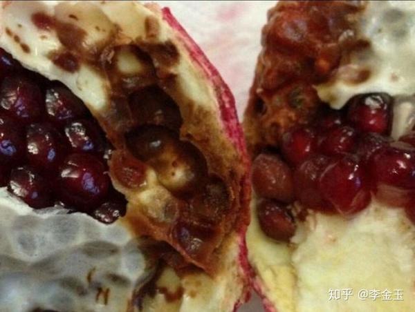 软籽石榴烂果什么原因怎么防治