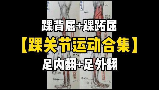 扁平足和足外翻的原因是什么?什么是最佳矫正方案?史上最详细讲解来了