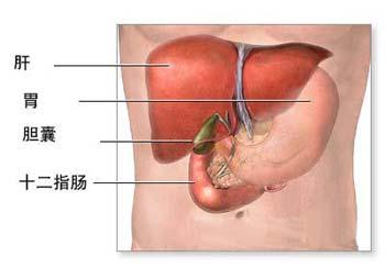 没有胆会怎么样