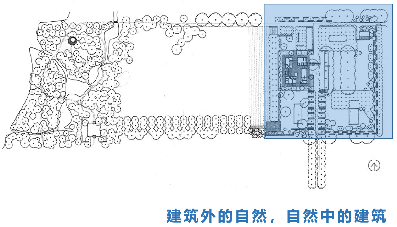 受建筑影响较大的空间,像米勒花园这种长方矩形应该怎么处理呢?