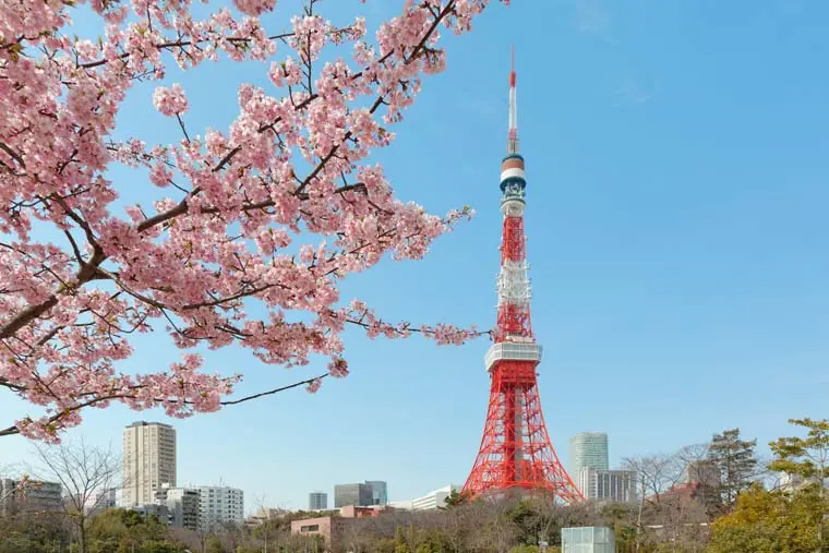 日比谷公园(东京都千代田区)这是日本第一个西式现代公园,花坛里一年