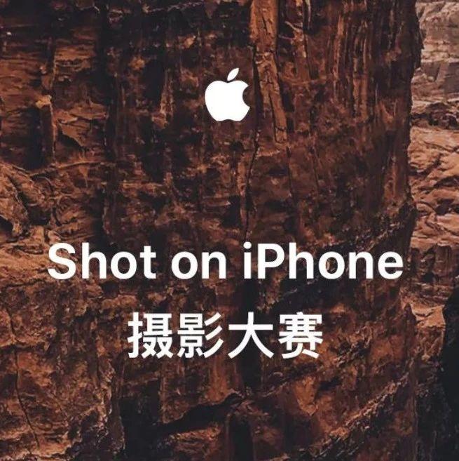 苹果shotoniphone摄影大赛获奖作品欣赏