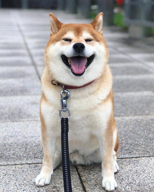 想想就笑的贼开心