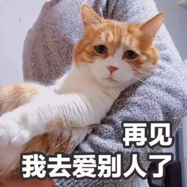 (贝恩咨询招聘)微信头像用什么,更容易拿offer?面试中