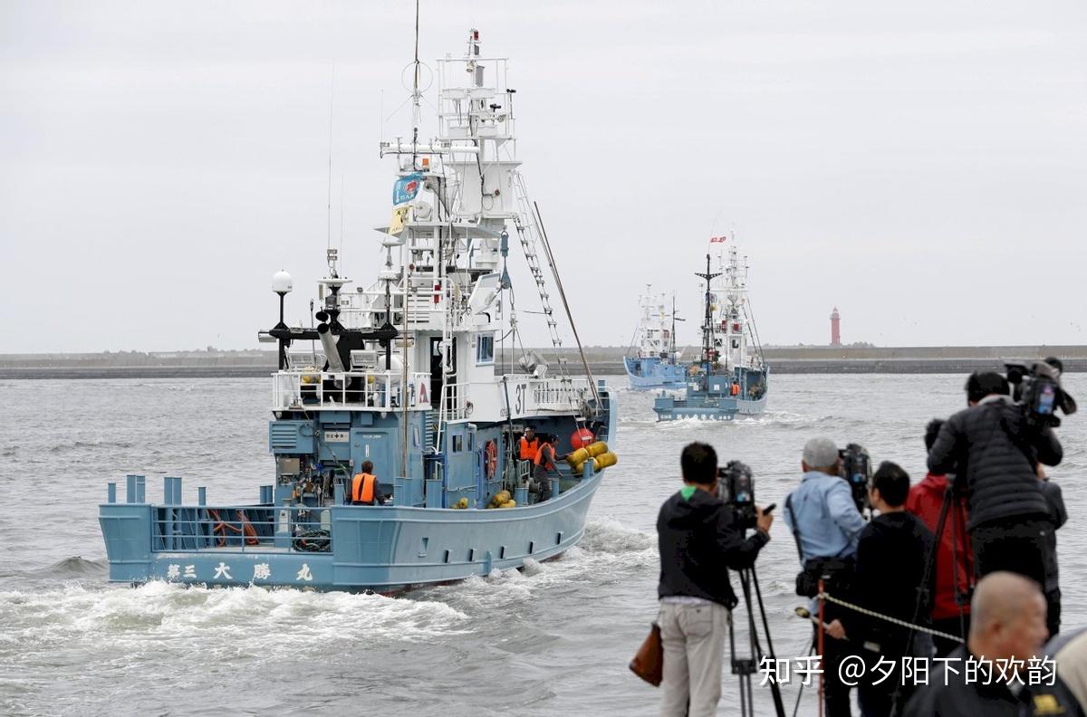 日本右翼议员气焰嚣张,驾驶渔船强闯钓鱼岛海域,我海警果断阻击后撒腿