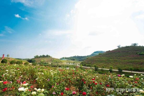 肇庆怀集有一个景区震撼登场,一网打尽所有网红项目