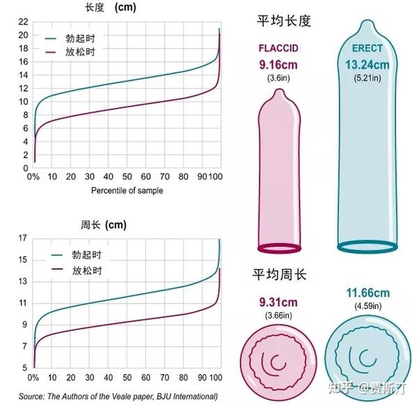 过了青春期,男生的丁丁还能增大吗?