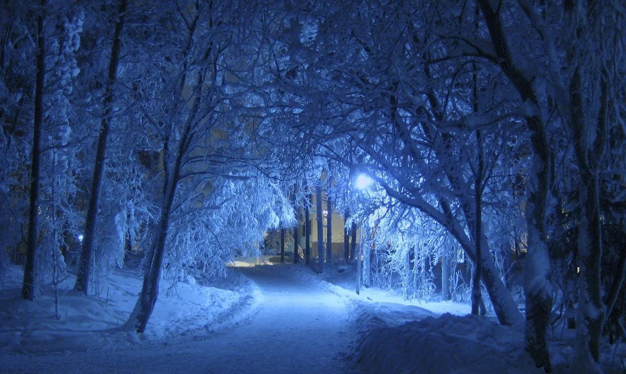 深夜的雪我的眼睛病了