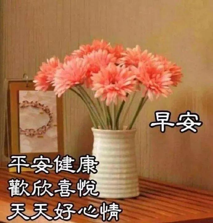 星期六早上好