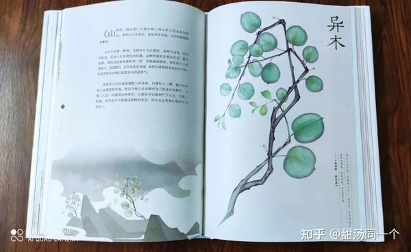 这些奇异的植物大多来源《山海经》,《西游记》,《酉阳杂俎》