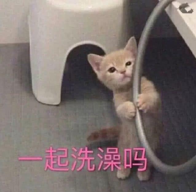 有没有给女朋友发的表情包