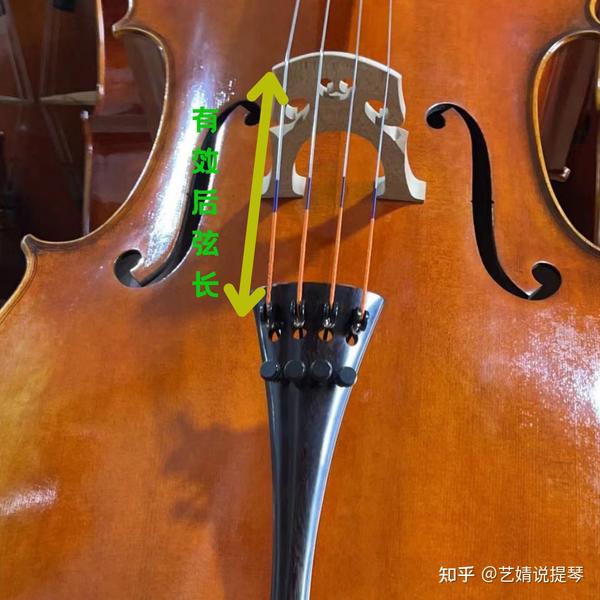 艺界说提琴-大提琴拉弦板有哪些讲究?