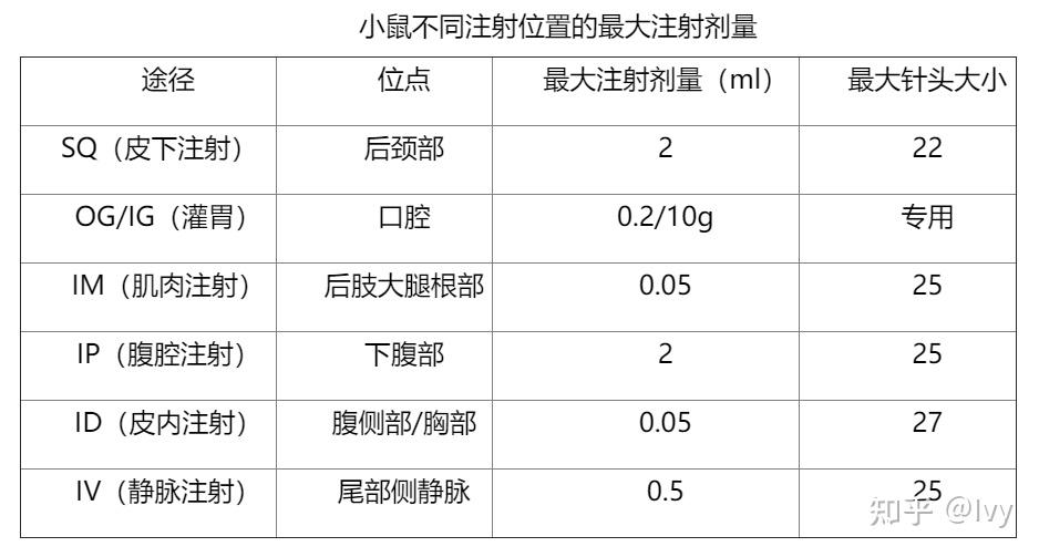 小鼠腹腔注射位置和角度有技巧吗