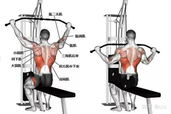 各位健身大佬好,拉高位下拉的时候,为什么背阔肌发力感觉不是很明显?