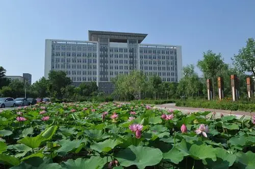 沧州师范学院:招生骤减近一半!