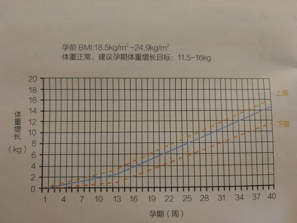 孕期到底吃多少孕期体重管理