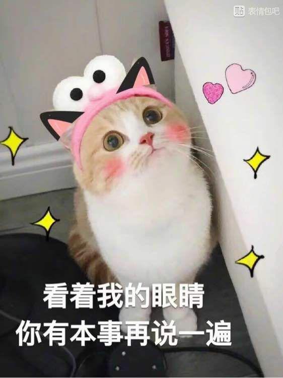 有哪些可爱的表情包?