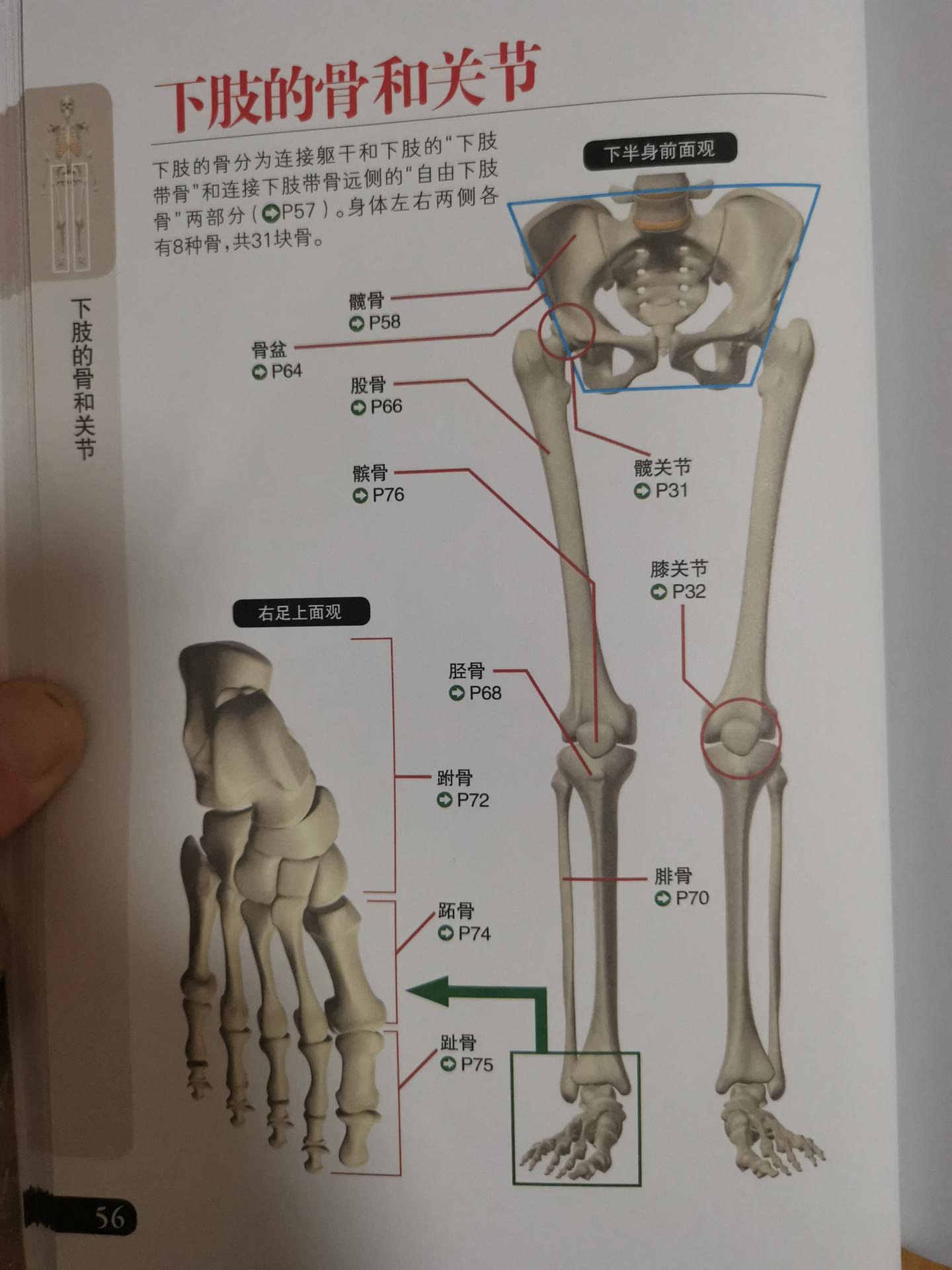 工伤伤残等级如何自我鉴定?如何自评停工留薪期.