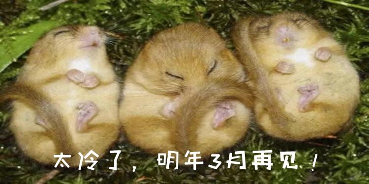 太冷了,明年3月见!