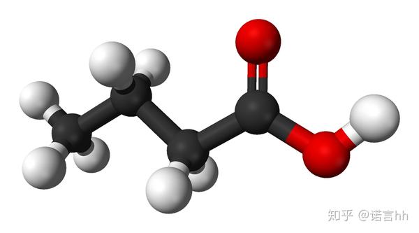 丁酸分子式模型