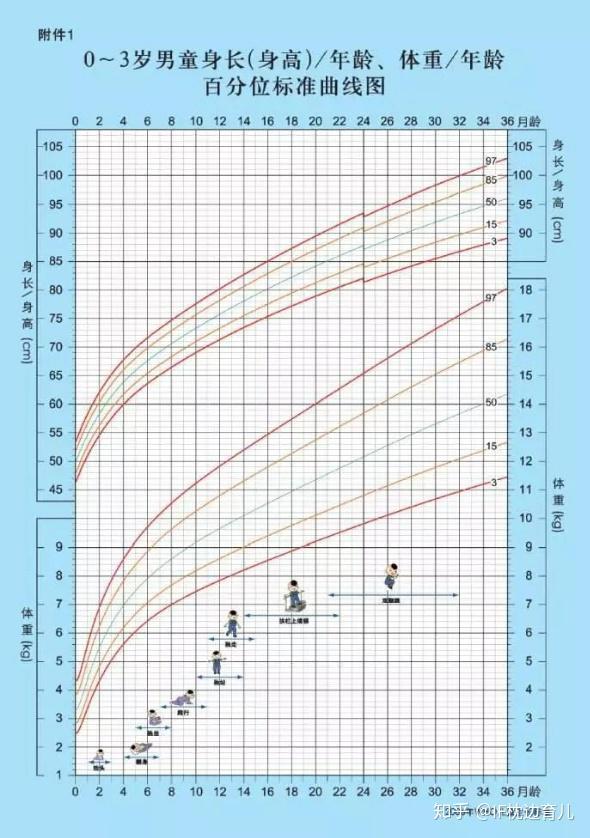 新生儿体重增长多少算正常,来看看生长曲线图的标准吧