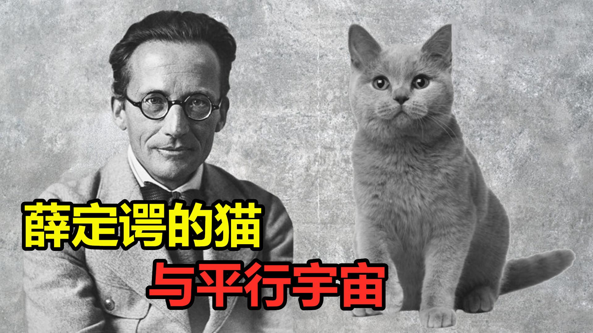 一分钟带你了解薛定谔的猫!英文科普启蒙绘本之「量子