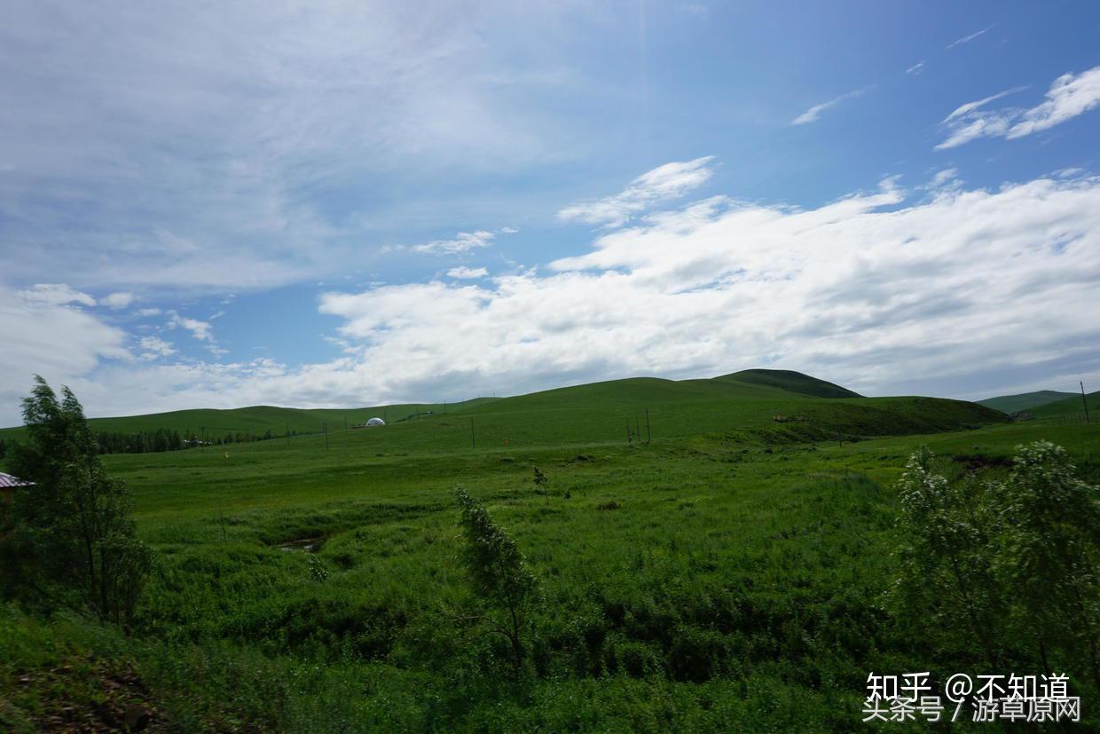 科尔沁草原在哪个市(科尔沁草原有什么特色)