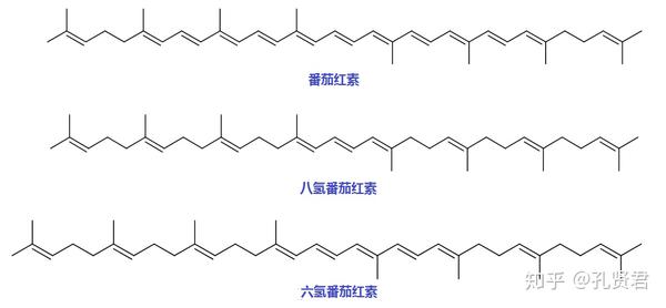 孔贤君 生物科技公司创始人,公号食药妆 西红柿又称番茄,原产地南美