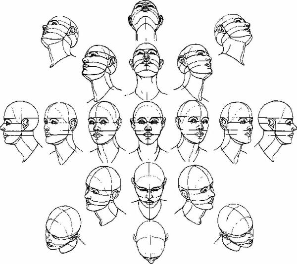 在头像写生过程中,人物头部的动态各异,而不同的头部动态又往往会