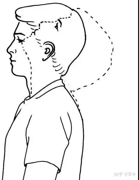 颈部屈,下图是练习颈部屈(进阶:颈部抗屈练习,需要将手环抱后脑勺
