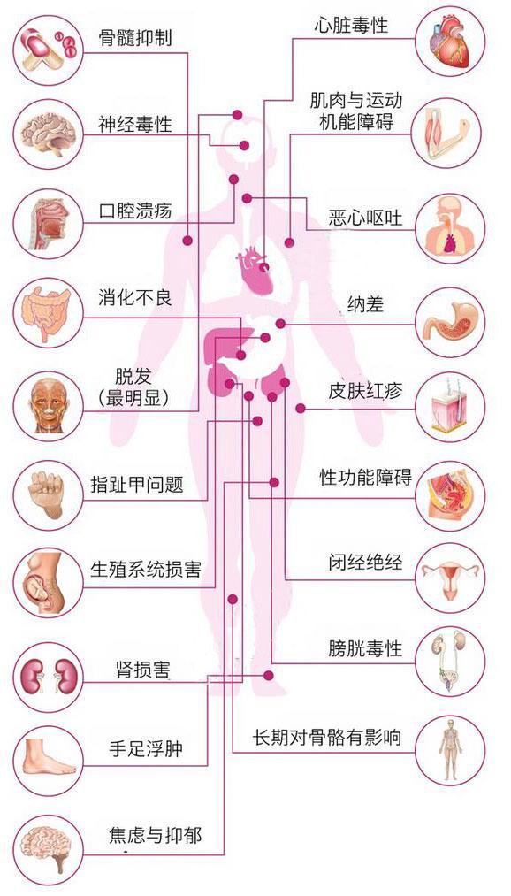 图4 化疗对人体的毒副作用图解 六,生活质量的评价 有关日常体能状态