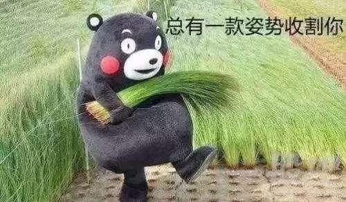 职业规划师,如何靠贩卖焦虑割韭菜,年入百万?