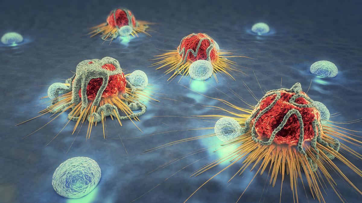 癌细胞可是欺骗高手,真正的免疫治疗是这么回事
