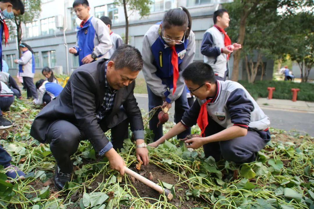 儿童友好中国实践劳动教育与一所建在农场里的校园