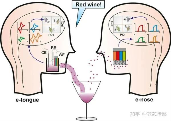 科学研究 新型嗅觉传感器可识别有害气体的电子鼻 知乎