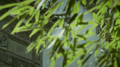 护肤狂魔大s又出新招直言不清洁将会烂脸你怎么看