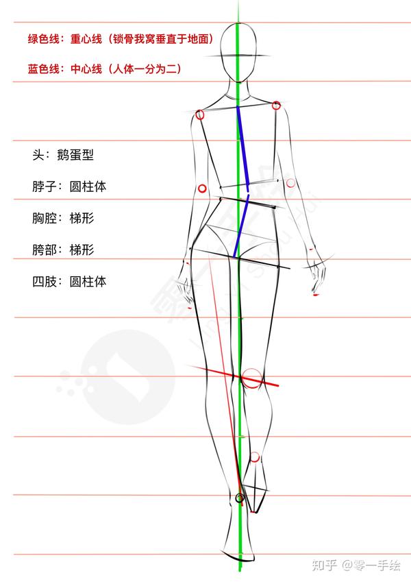 超详细讲解时装画人体动态走姿