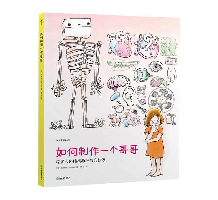 如何制作一个哥哥 探索人体结构与运转的秘密