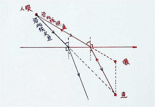 沿什么方向才能叉到鱼?怎样才能用光照射到鱼?中考物理易错归纳