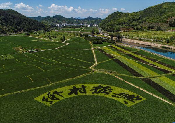 驻村工作队队员,加强农村基层组织建设,助力乡村振兴