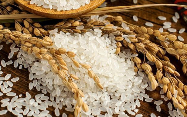 大米作为中国主要的粮食作物,几乎餐餐不离,世界有一半