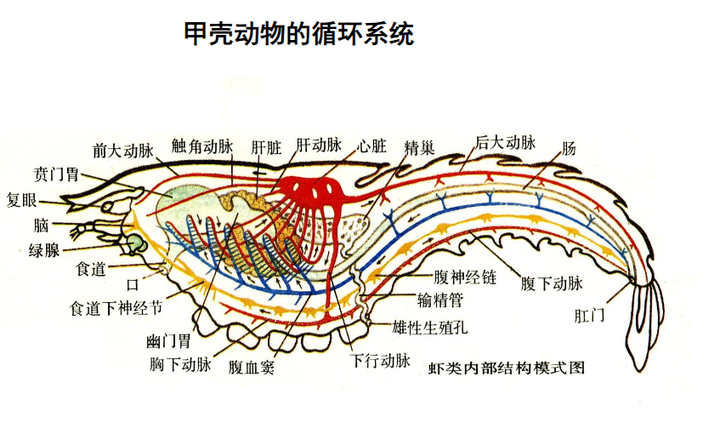 v2 90a87377dd38227ec522f0d51a536aba 720w