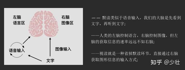 所以眼睛所看到的文字可以如同图像一样直接进入大脑中枢,这就是视觉