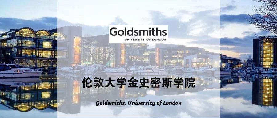 英国伦敦大学金史密斯学院的艺术管理与文化政策专业是学什么的怎么样